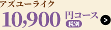 アズユーライク10,900円コース