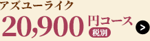 アズユーライク20,900円コース