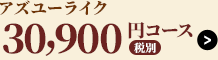 アズユーライク30,800円コース