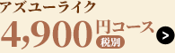 アズユーライク4,800円コース