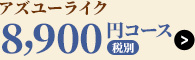 アズユーライク8,800円コース