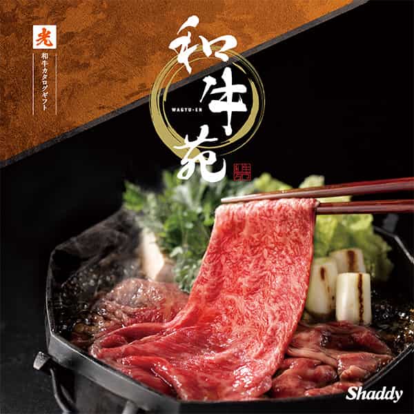 光-ひかり-