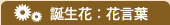 誕生花と花言葉