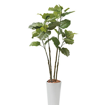 お花・観葉植物