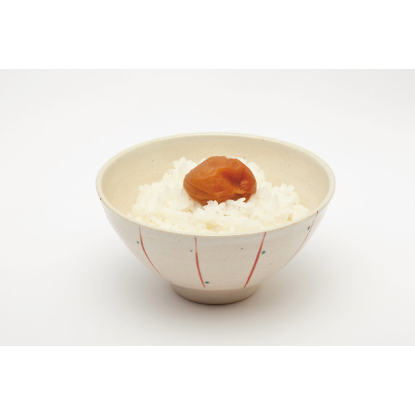 紀州南高梅　うす塩味（５４０ｇ）のサムネイル画像1