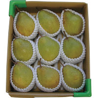 山形県産　シルバーベル（５ｋｇ）