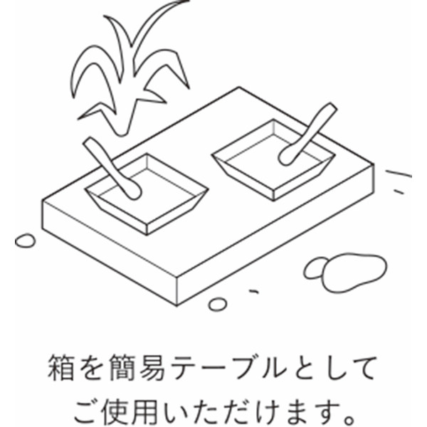 ＩＺＡＭＥＳＨＩ　キャリーボックスデリドンのサムネイル画像8