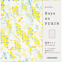 ＷＡＦＵＫＡ　Ｋａｙａｎｏ　ＦＵＫＩＮ
