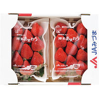 福岡県産　あまおう（５４０ｇ）