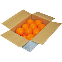 国産ハッサク(5kg)