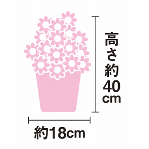 【父の日専用】マダガスカルジャスミン鉢植えのサムネイル画像2