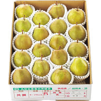 山形県産ラ・フランス（５ｋｇ）糖度保証１４度