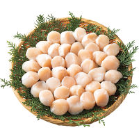 北海道産ほたて貝柱（６００ｇ）
