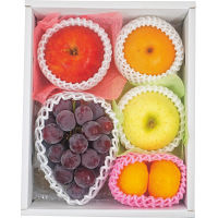 旬を味わうフルーツ詰め合わせ