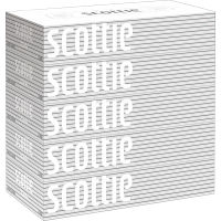 スコッティ　ティシュー ６０箱 