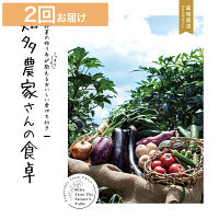 産地直送・野菜カタログギフト　知多農家さんの食卓　２回お届けコース　送料無料