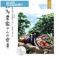 産地直送・野菜カタログギフト　知多農家さんの食卓　６回お届けコース　送料無料