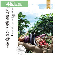 産地直送・野菜カタログギフト　知多農家さんの食卓　４回お届けコース　送料無料