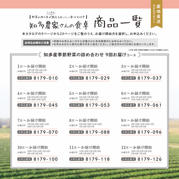 産地直送・野菜カタログギフト　知多農家さんの食卓　９回お届けコース　送料無料のサムネイル画像1