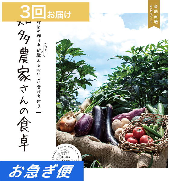２３知多農家さんの食卓　３回お届けコース【お急ぎ対応】