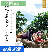産地直送・野菜カタログギフト　知多農家さんの食卓　４回お届けコース【お急ぎ便】