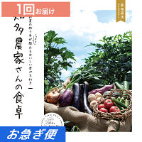 産地直送・野菜カタログギフト　知多農家さんの食卓　１回お届けコース【お急ぎ便】