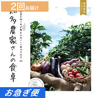 産地直送・野菜カタログギフト　知多農家さんの食卓　２回お届けコース【お急ぎ便】