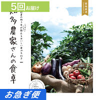 産地直送・野菜カタログギフト　知多農家さんの食卓　５回お届けコース【お急ぎ便】