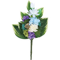 四季仏花 夏（ハス） 