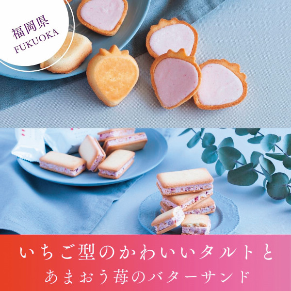 【福岡】苺のワルツ２種ギフトセットＬ