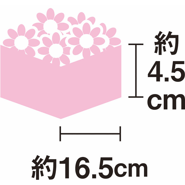 【母の日専用】スイーツ＆フラワーＢＯＸ　銀座プチガトーのサムネイル画像2