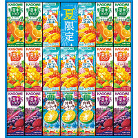 カゴメ　サマーバラエティギフト（２０本）
