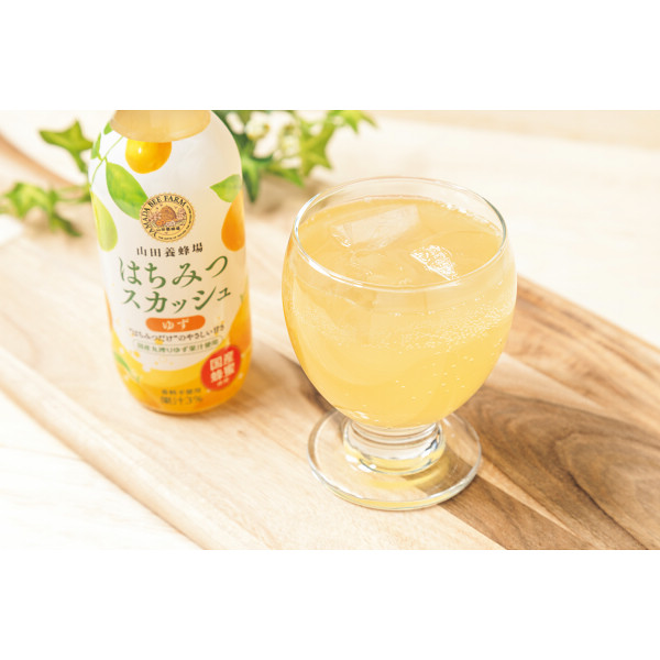 山田養蜂場　国産はちみつスカッシュ（１０本）のサムネイル画像1