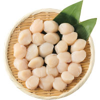 北海道産ほたて貝柱（４８０ｇ）