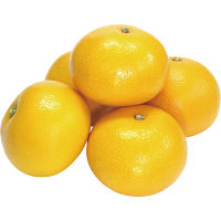 国産ハッサク(2.5kg)