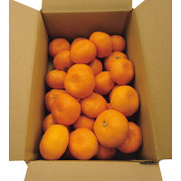 和歌山みかんS~2L(3kg)