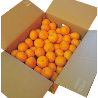 和歌山みかんS~2L(7kg)