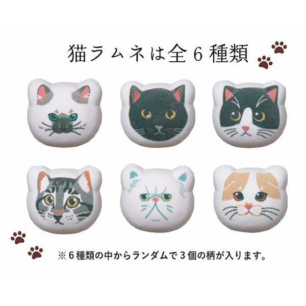 Ｕｃｈｉｎｏｋｏ　ｍａｔｅ　ラムネと金平糖とハンカチ ラグドールのサムネイル画像1