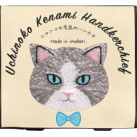 Ｕｃｈｉｎｏｋｏ　ｍａｔｅ　毛並みハンカチ