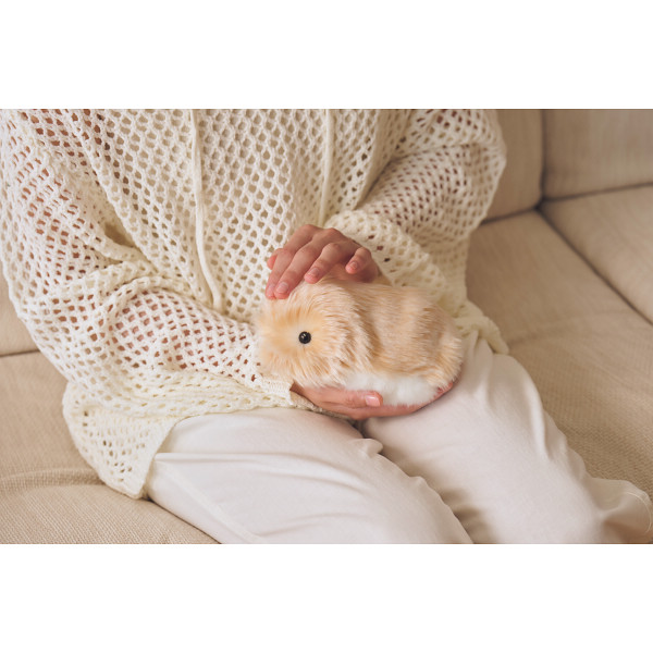 カシオ　モフリン ゴールドのサムネイル画像3