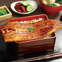 鰻楽　特大国産うなぎ蒲焼（長焼）３００ｇ（１尾入）