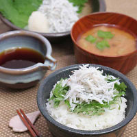 和歌山紀州かまあげしらす