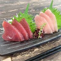 静岡一本釣りびん長鰹尽くし