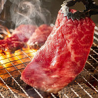 神奈川やまゆり牛(交雑種)焼肉もも560g
