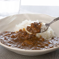 三田屋総本家国産挽き肉のキーマカレー１０食（ご自宅用）