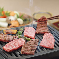 岐阜「JAひだ」飛騨牛もも焼肉用