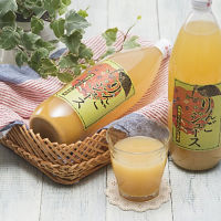 岐阜「JAひだ」飛騨産りんごジュース1L