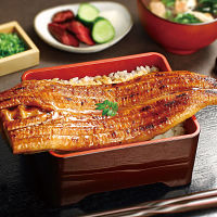 【父の日専用】大森淡水　特大国産うなぎ蒲焼（長焼）６００ｇ（２尾入）