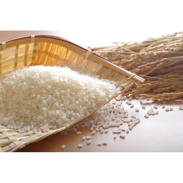 【ＷＥＢ限定】島根県産　きぬむすめ４ｋｇのサムネイル画像2