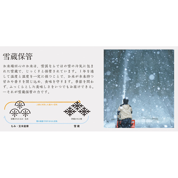 新潟県産　雪蔵こしひかり５ｋｇのサムネイル画像2